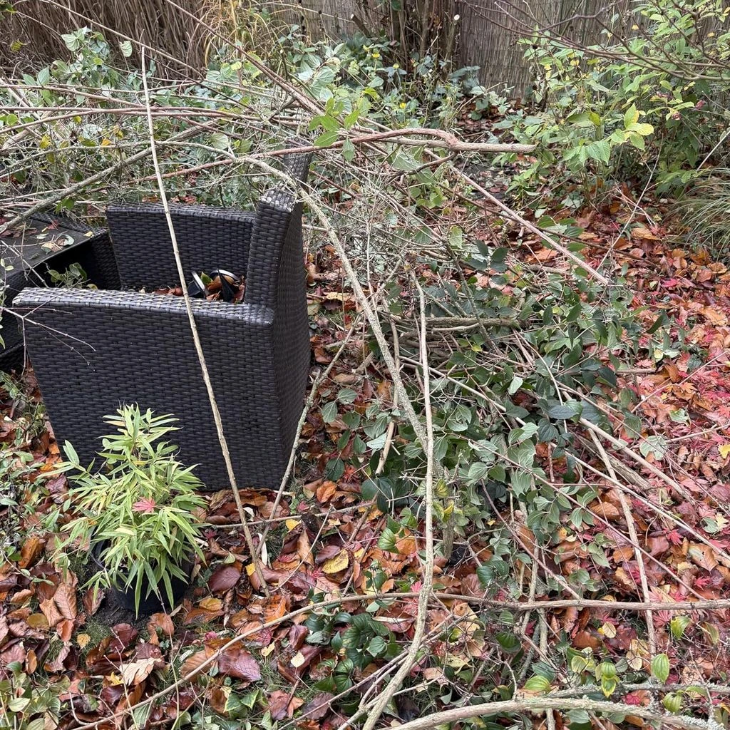 Fotografija kupca: orezane grane složene na hrpu u gredici
